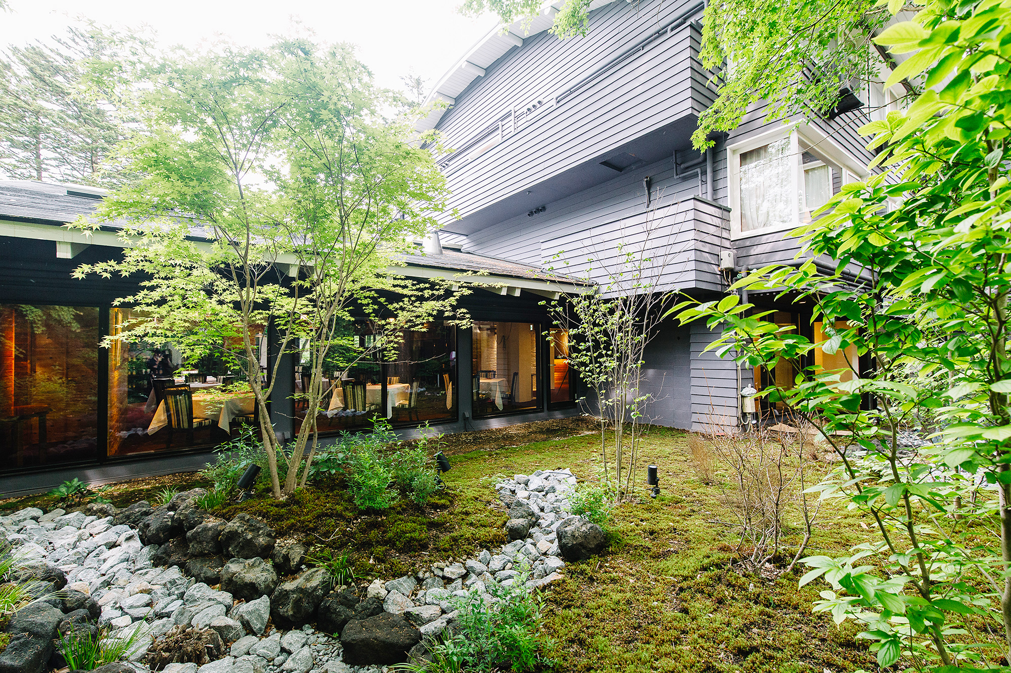 中庭の風景